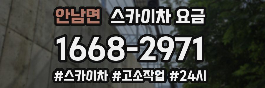 안남면 스카이차 요금