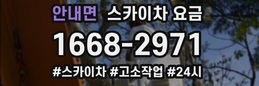 안내면 스카이차 요금