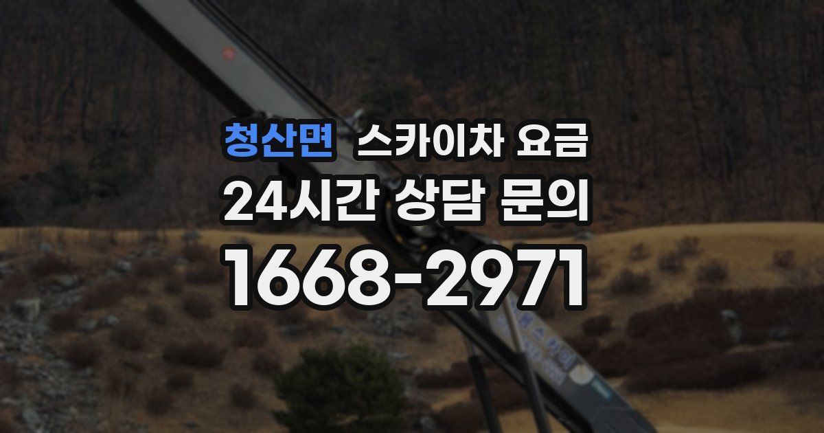 청산면 스카이차 요금