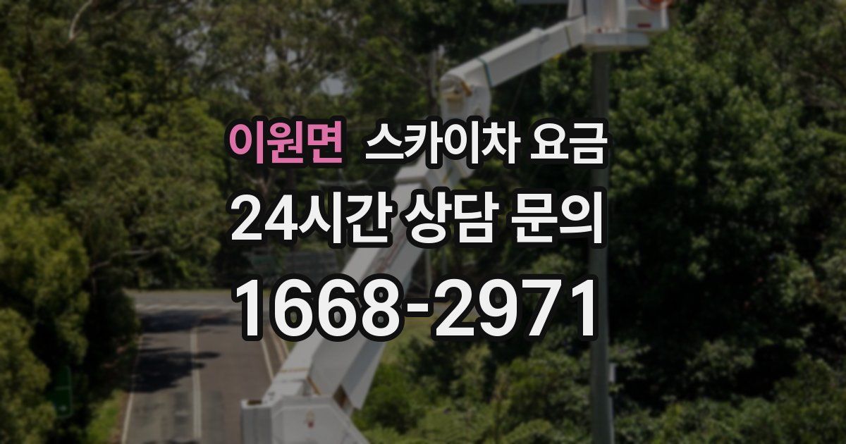 이원면 스카이차 요금