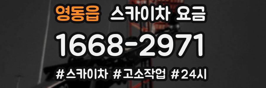 영동읍 스카이차 요금