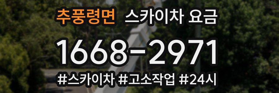 추풍령면 스카이차 요금