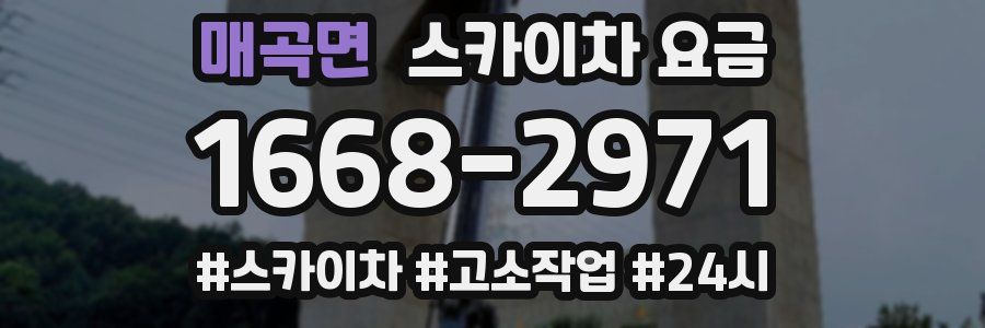 매곡면 스카이차 요금