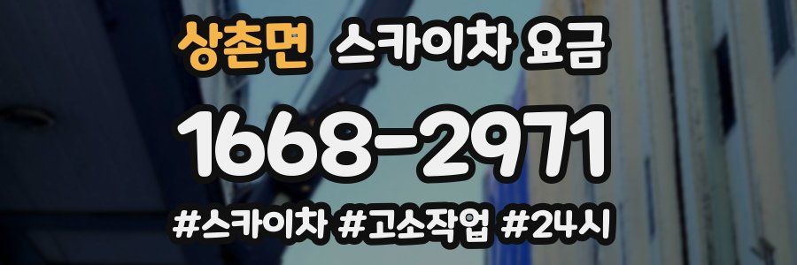 상촌면 스카이차 요금