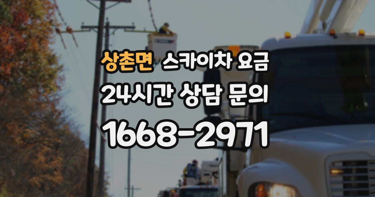 상촌면 스카이차 요금