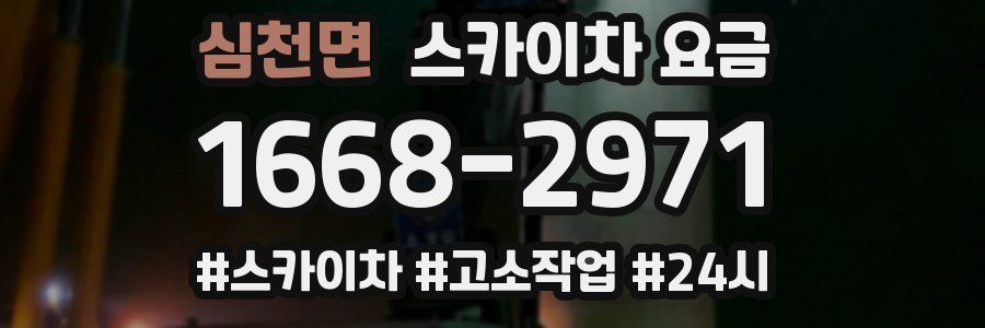 심천면 스카이차 요금