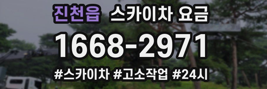 진천읍 스카이차 요금