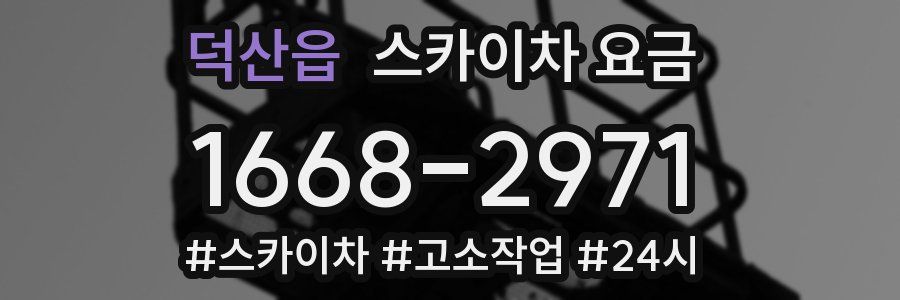 덕산읍 스카이차 요금