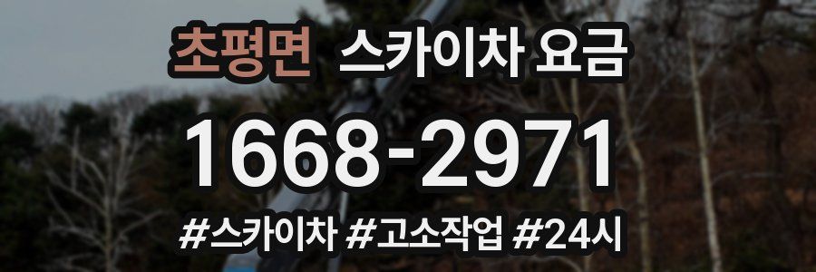 초평면 스카이차 요금