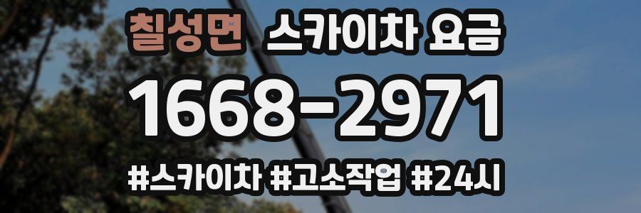 칠성면 스카이차 요금