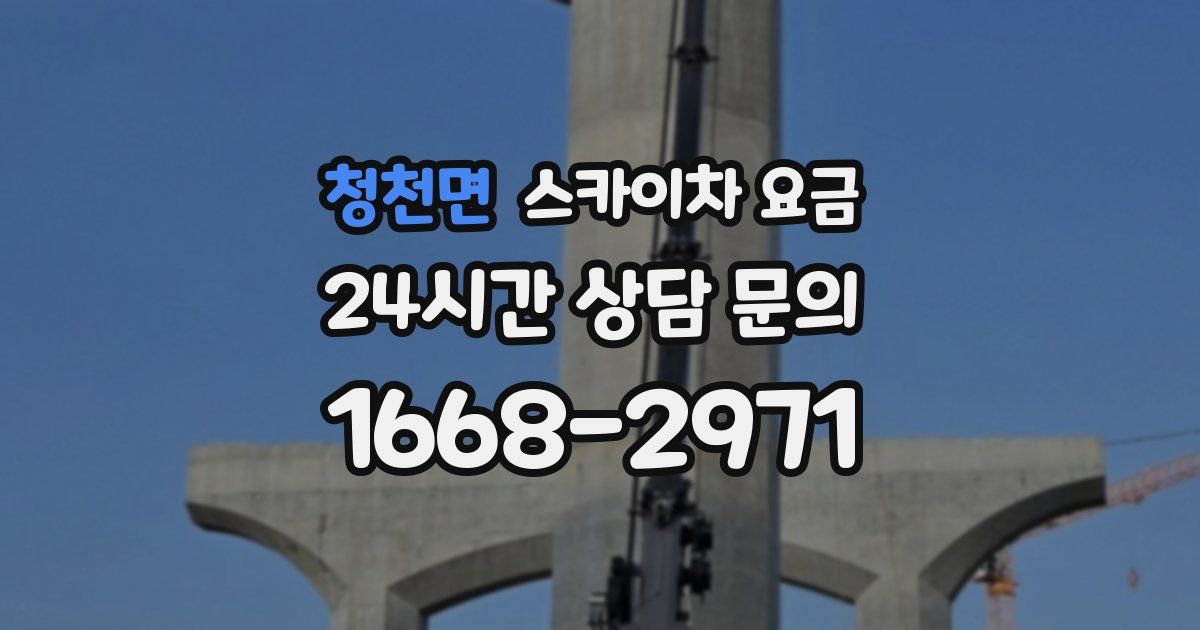 청천면 스카이차 요금