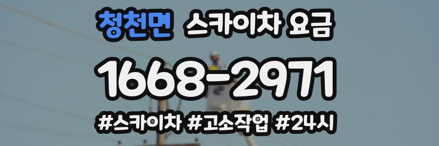 청천면 스카이차 요금