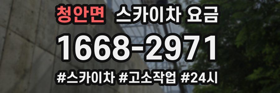 청안면 스카이차 요금