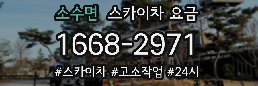 소수면 스카이차 요금