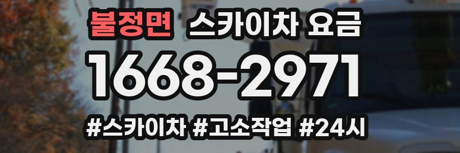 불정면 스카이차 요금