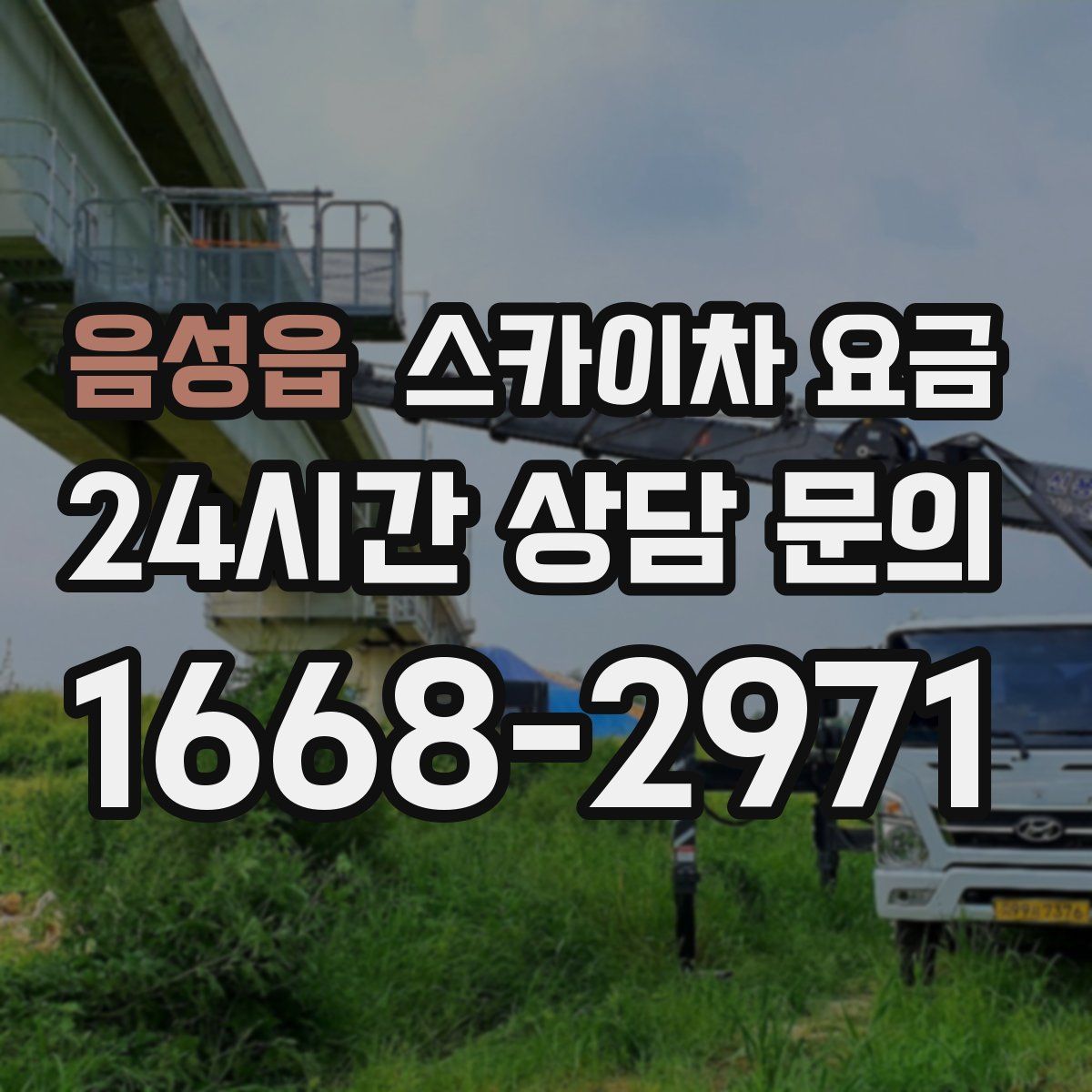 음성읍 스카이차 요금