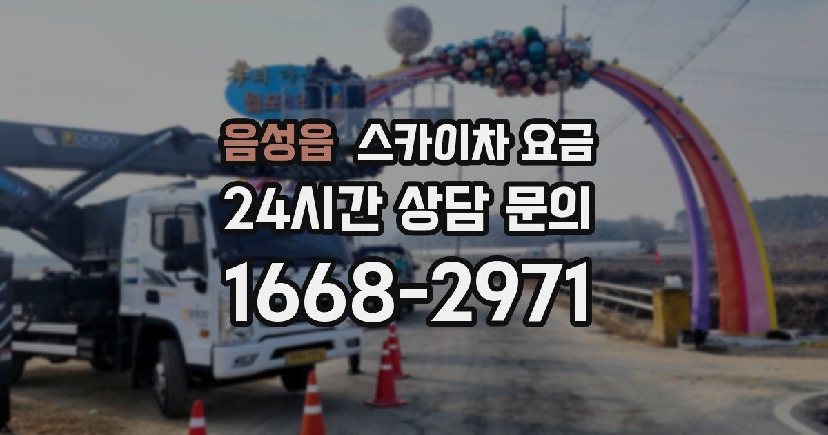 음성읍 스카이차 요금