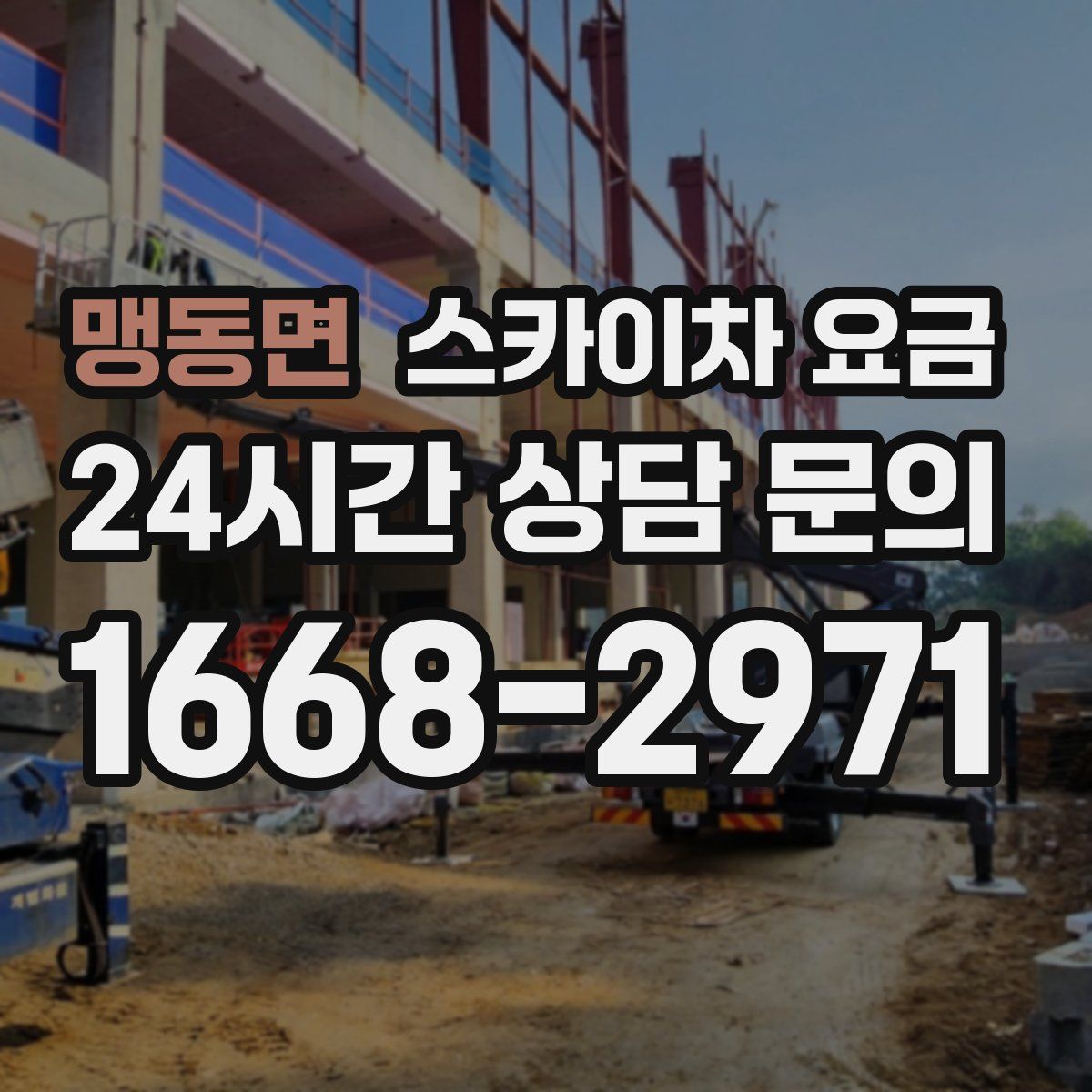 맹동면 스카이차 요금