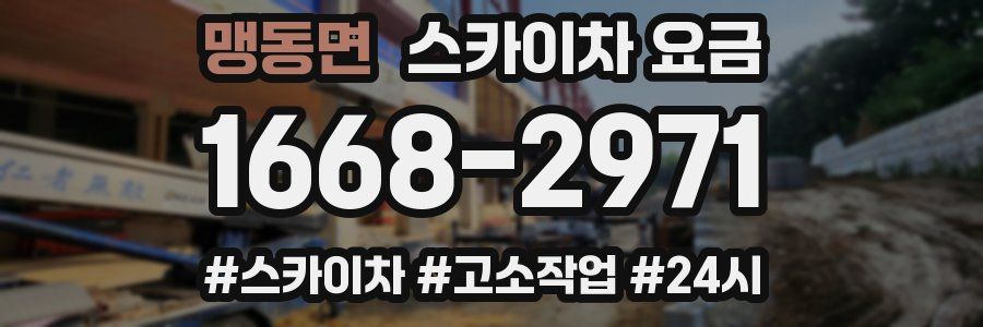 맹동면 스카이차 요금