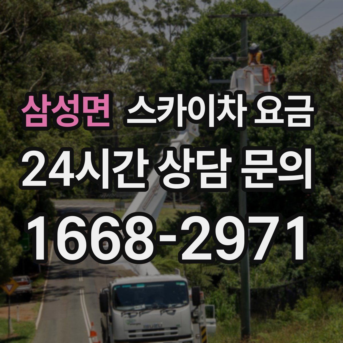 삼성면 스카이차 요금