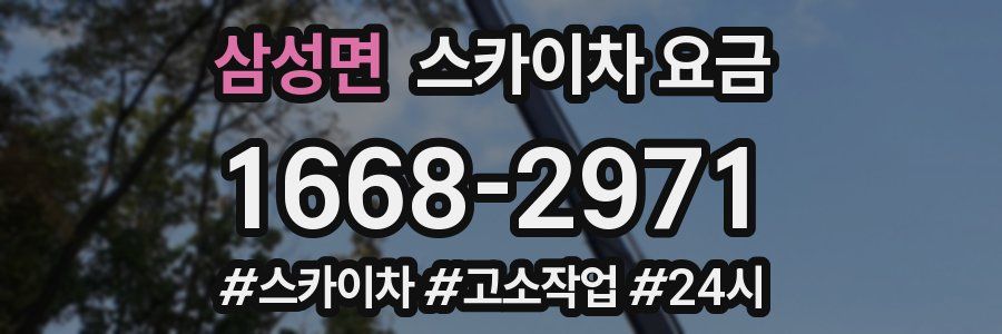 삼성면 스카이차 요금