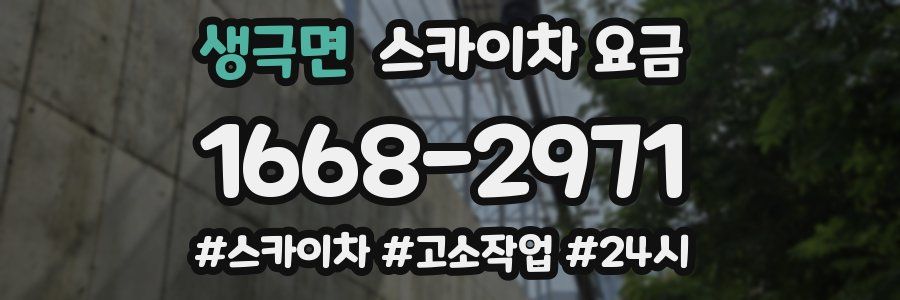 생극면 스카이차 요금