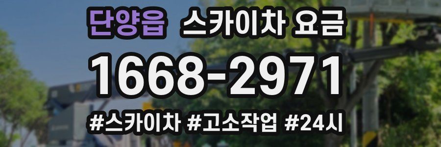 단양읍 스카이차 요금