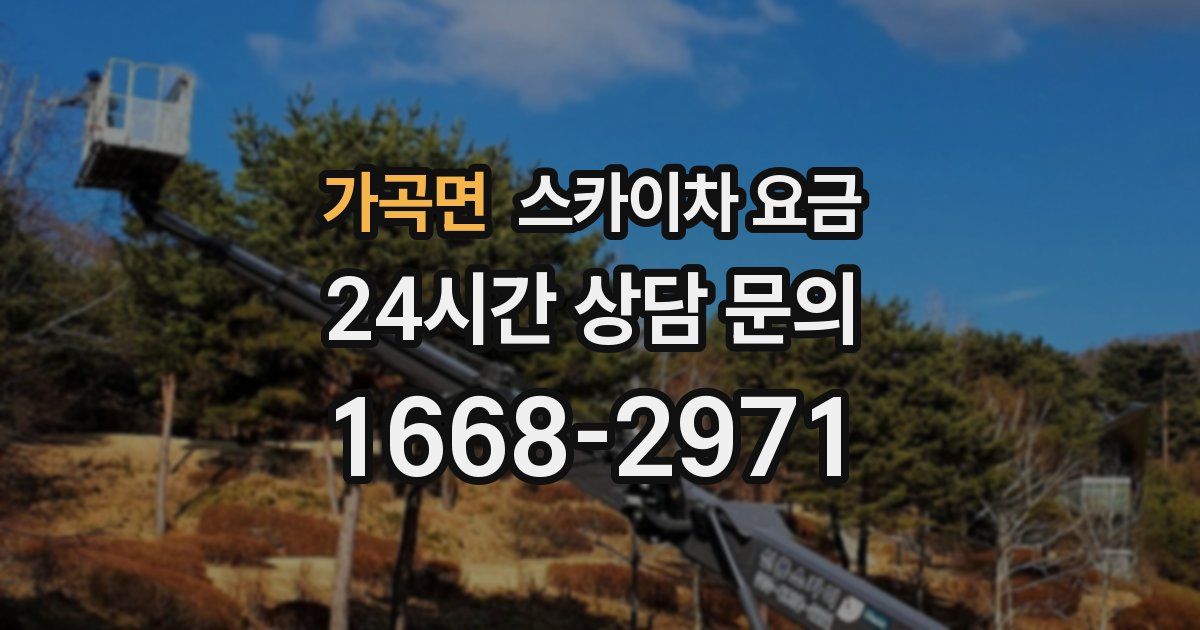 가곡면 스카이차 요금