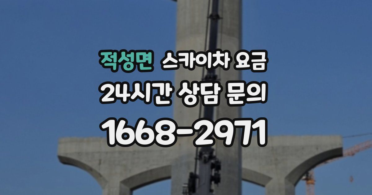 적성면 스카이차 요금