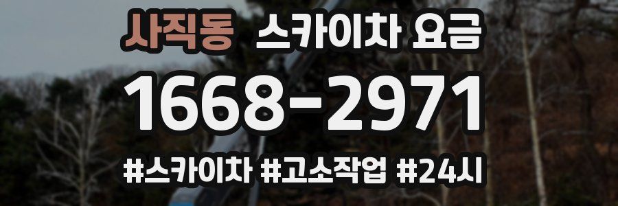 사직동 스카이차 요금