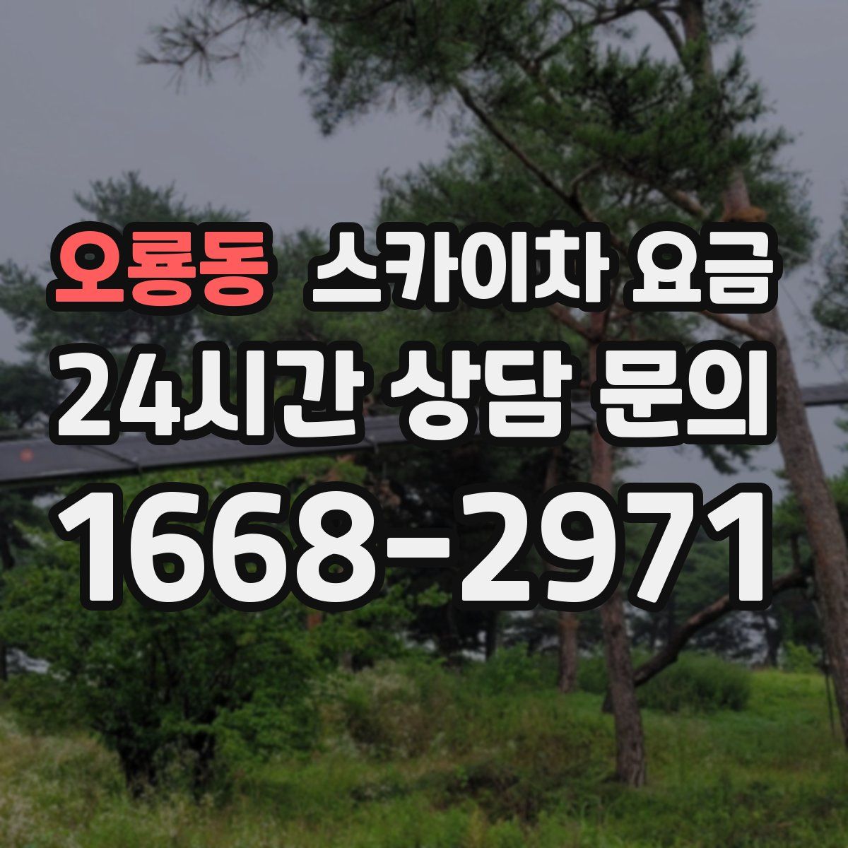 오룡동 스카이차 요금