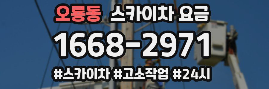 오룡동 스카이차 요금