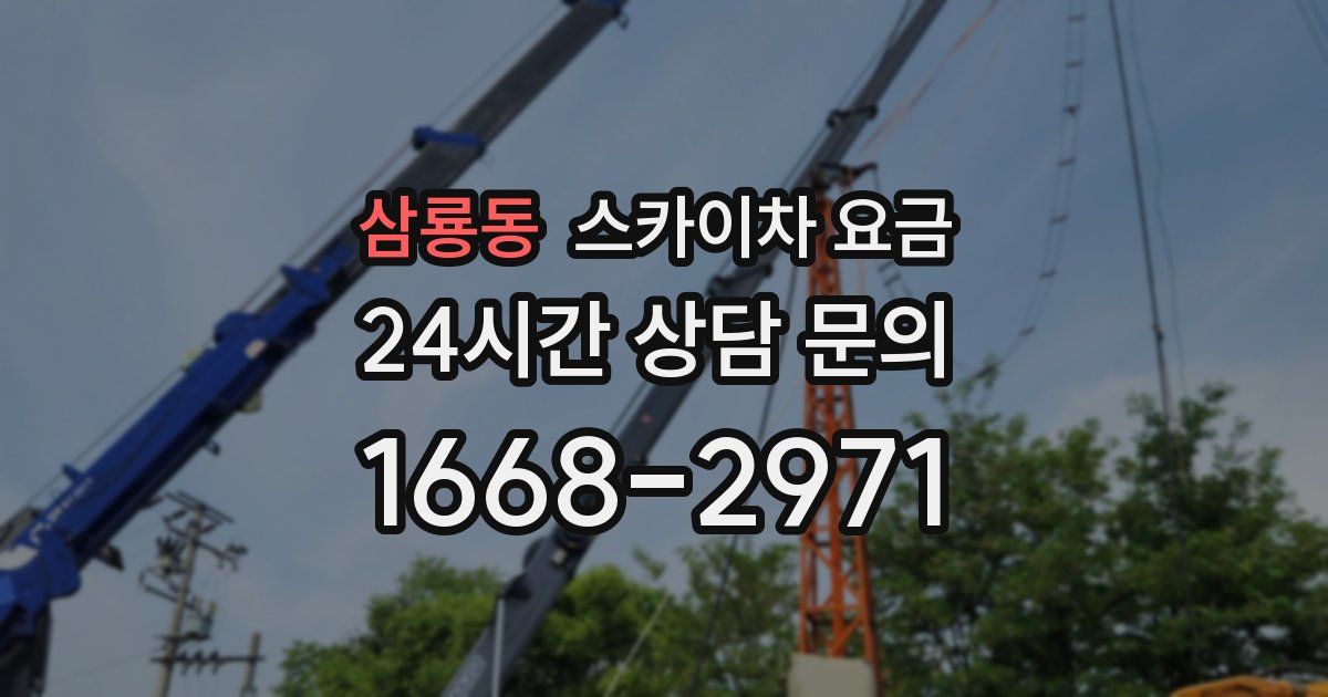 삼룡동 스카이차 요금