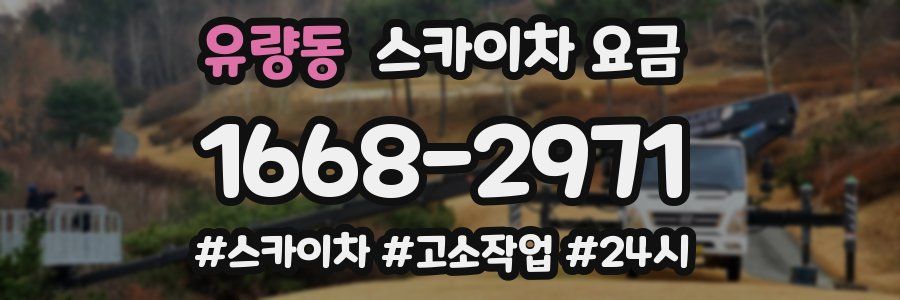 유량동 스카이차 요금