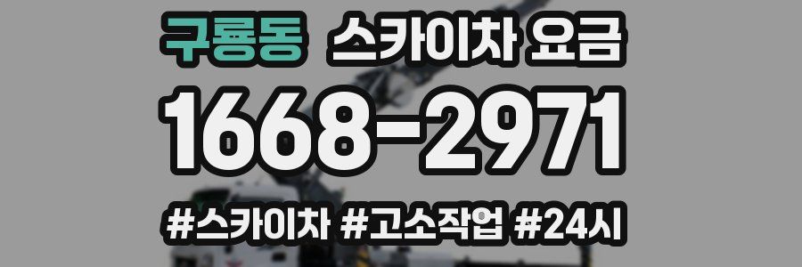 구룡동 스카이차 요금