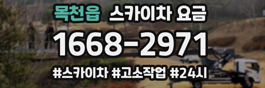 목천읍 스카이차 요금