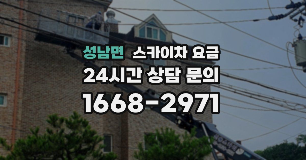 성남면 스카이차 요금