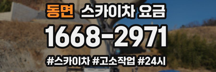 동면 스카이차 요금