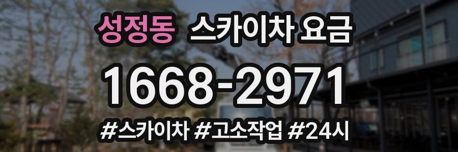 성정동 스카이차 요금
