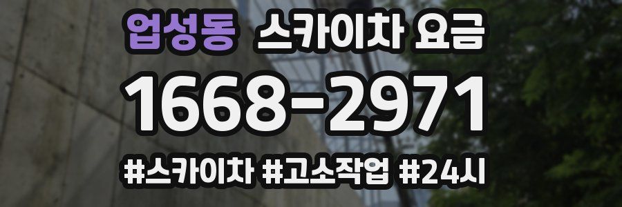 업성동 스카이차 요금