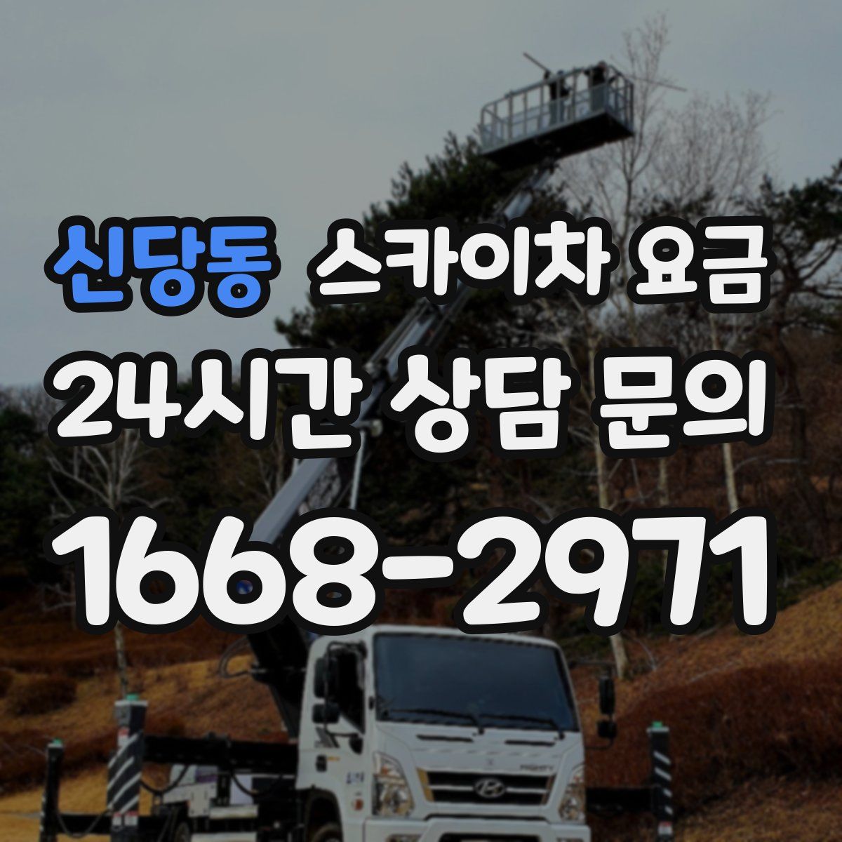 신당동 스카이차 요금