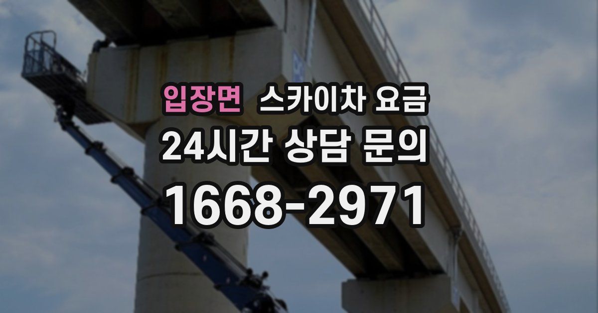 입장면 스카이차 요금