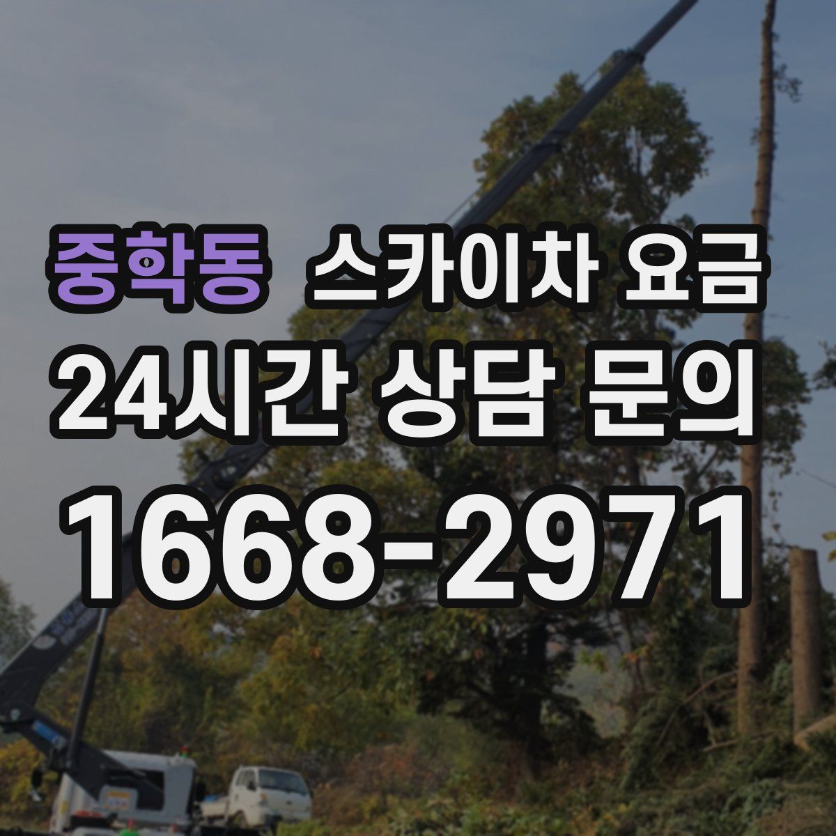 중학동 스카이차 요금