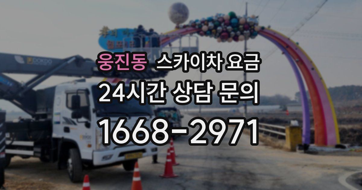 웅진동 스카이차 요금