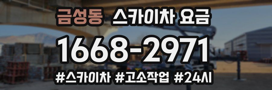 금성동 스카이차 요금