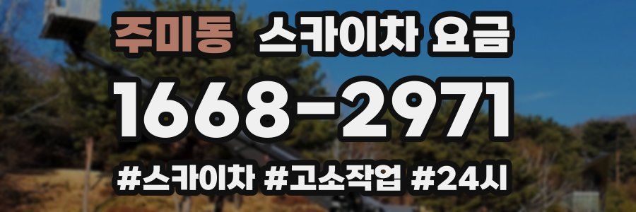 주미동 스카이차 요금