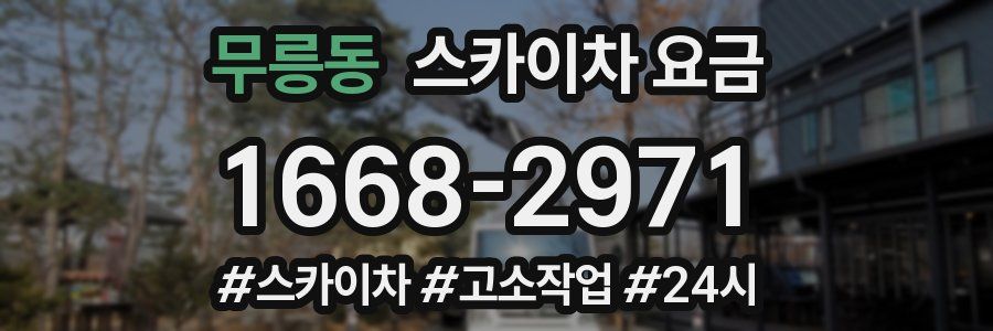 무릉동 스카이차 요금