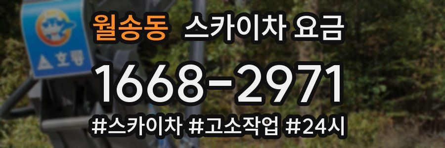 월송동 스카이차 요금