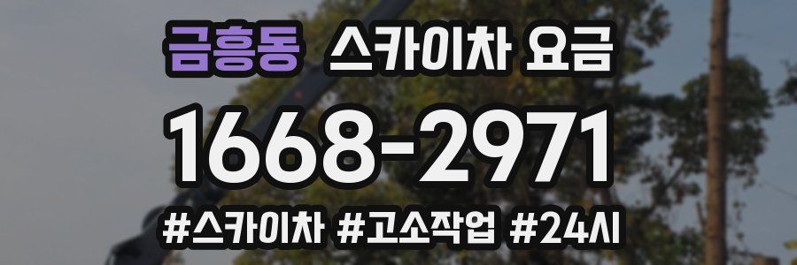 금흥동 스카이차 요금