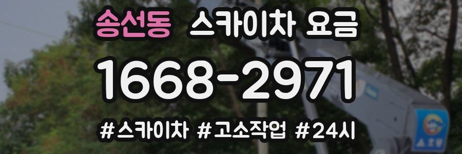 송선동 스카이차 요금